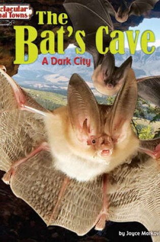 Cover of The Bat's Cave