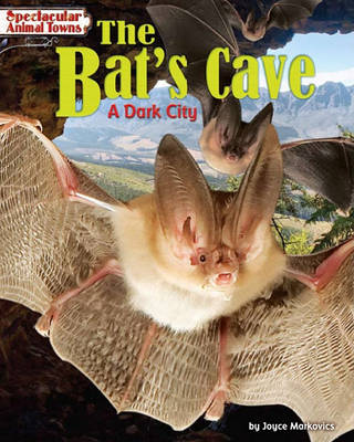 Book cover for The Bat's Cave