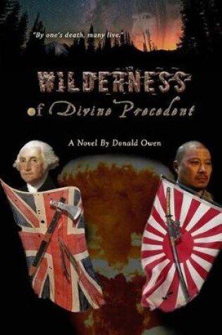 Cover of Wilderness of Divine Precedent