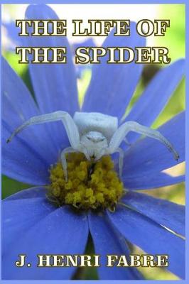 Cover of The Life of the Spider