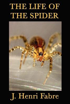 Cover of The Life of the Spider