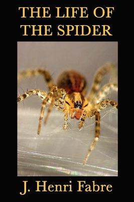 Book cover for The Life of the Spider