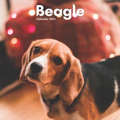 Book cover for Beagle Calendar 2021