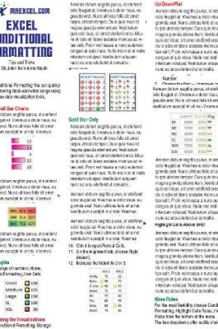 Cover of Excel Conditional Formatting Tip Card
