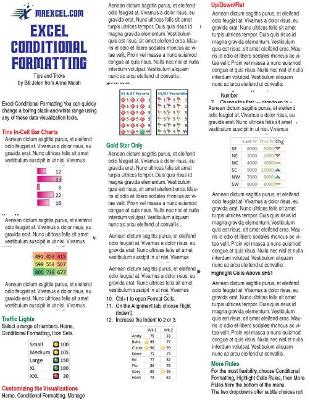 Book cover for Excel Conditional Formatting Tip Card