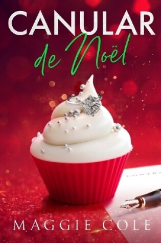 Cover of Canular de Noël