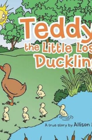 Cover of Teddy, the Little Lost Duckling