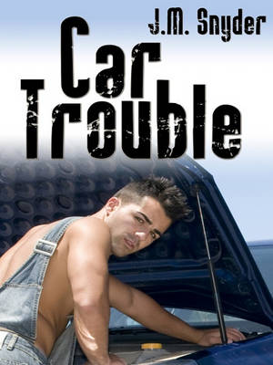 Book cover for Car Trouble