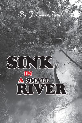 Book cover for Sink in a Small River