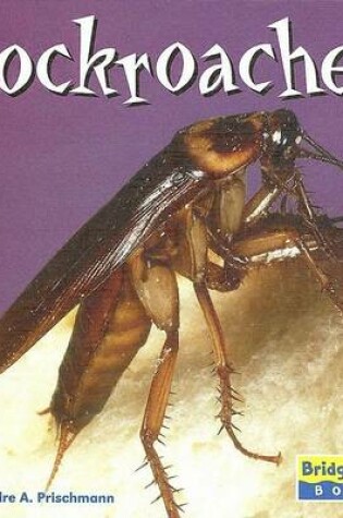 Cover of Cockroaches