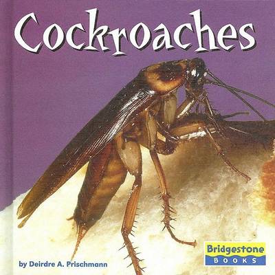 Book cover for Cockroaches