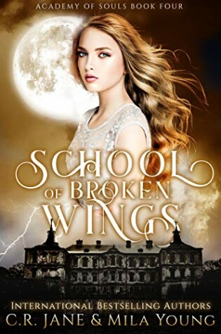 Cover of School of Broken Wings