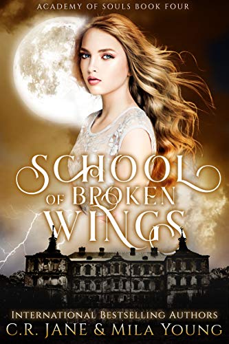 Book cover for School of Broken Wings