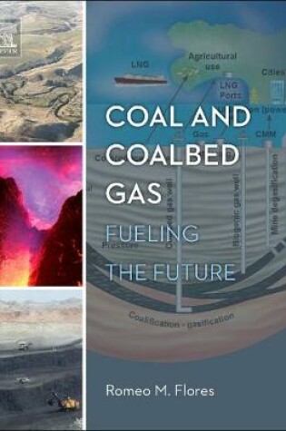 Cover of Coal and Coalbed Gas