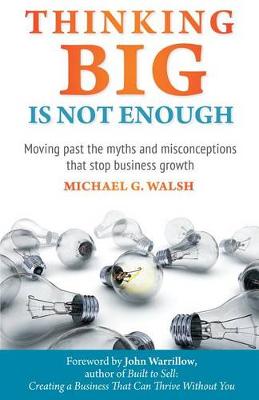 Book cover for Thinking Big Is Not Enough