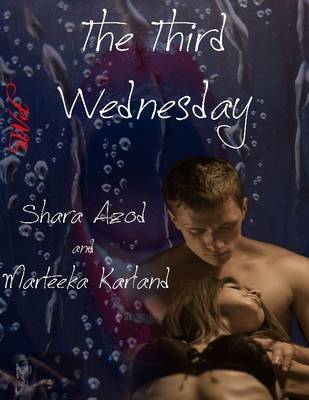 Book cover for The Third Wednesday