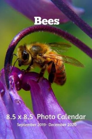 Cover of Bees 8.5 X 8.5 Photo Calendar September 2019 -December 2020