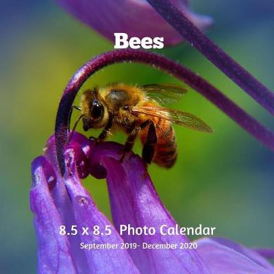 Book cover for Bees 8.5 X 8.5 Photo Calendar September 2019 -December 2020