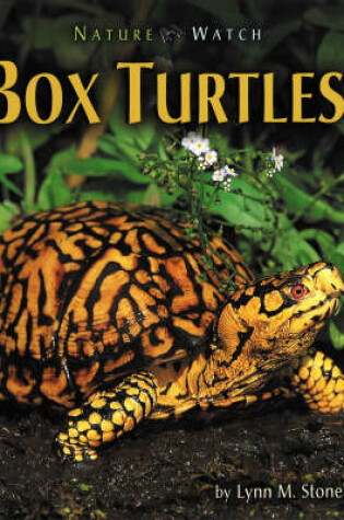 Cover of Box Turtles