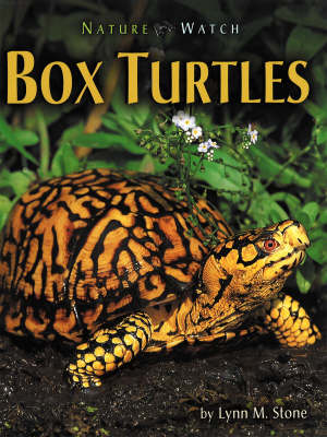 Book cover for Box Turtles