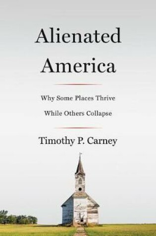 Cover of Alienated America