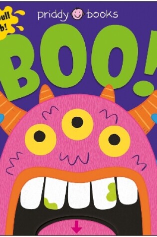 Cover of Boo! (Slide & Surprise)