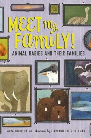 Cover of Meet My Family!