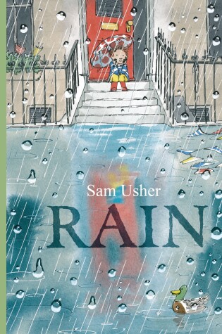 Cover of Rain