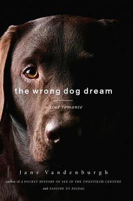 Book cover for The Wrong Dog Dream