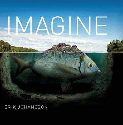 Book cover for Imagine