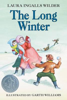 Book cover for Long Winter