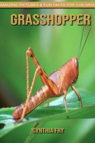 Cover of Grasshopper