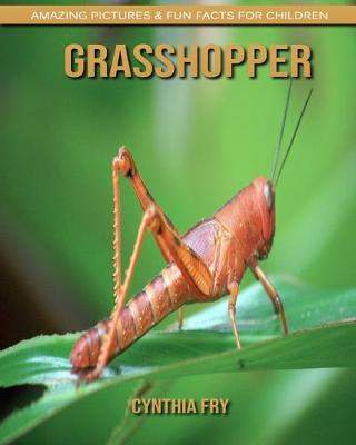 Book cover for Grasshopper