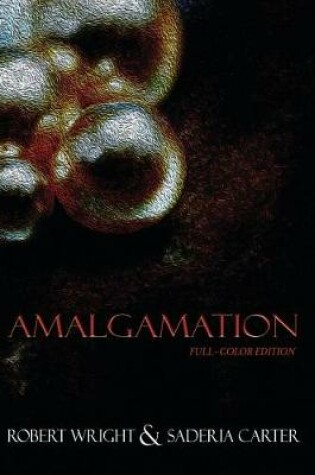 Cover of Amalgamation