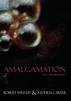 Book cover for Amalgamation