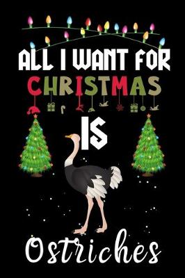 Book cover for All I Want For Christmas Is Ostriches