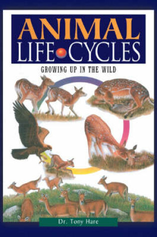 Cover of Animal Life Cycles