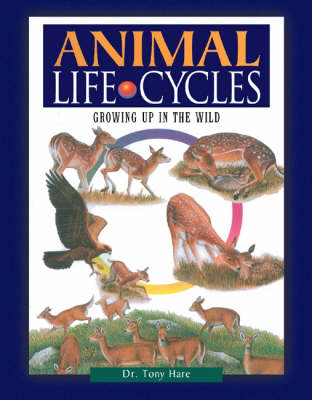 Book cover for Animal Life Cycles