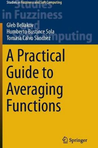 Cover of A Practical Guide to Averaging Functions