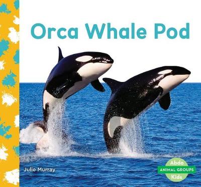 Book cover for Orca Whale Pod