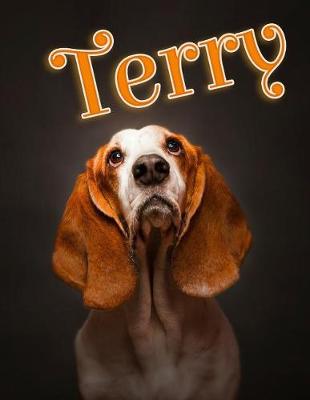 Book cover for Terry