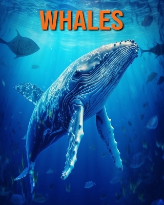 Book cover for Whales