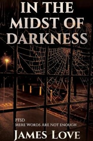 Cover of In the Midst of Darkness