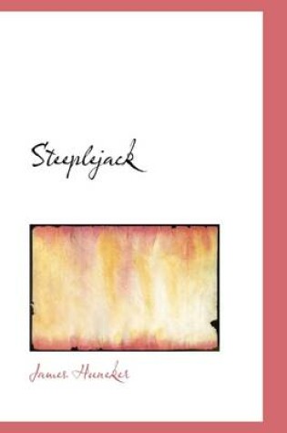 Cover of Steeplejack