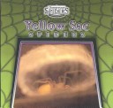 Book cover for Yellow Sac Spiders