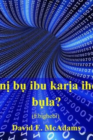 Cover of Gini bu ibu karia ihe o bula?