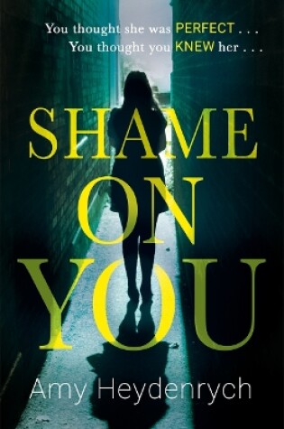 Cover of Shame on You
