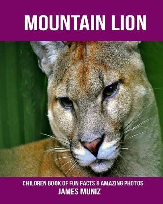 Book cover for Mountain Lion