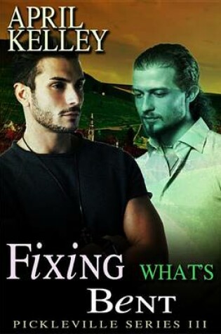 Cover of Fixing What's Bent