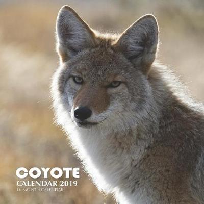 Book cover for Coyote Calendar 2019